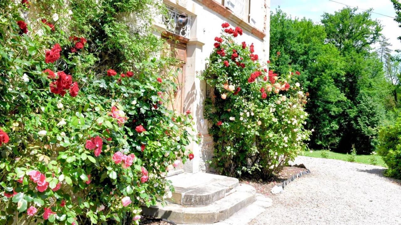 Chateau De Belespy La Bastide-de-Besplas Екстериор снимка